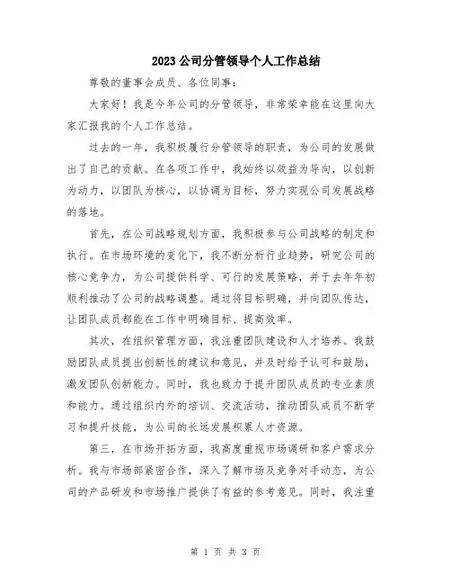 2023公司分管领导个人工作总结