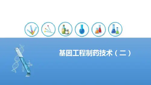 基因工程制药—基因工程制药技术
