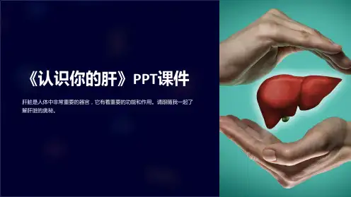 《认识你的肝》课件
