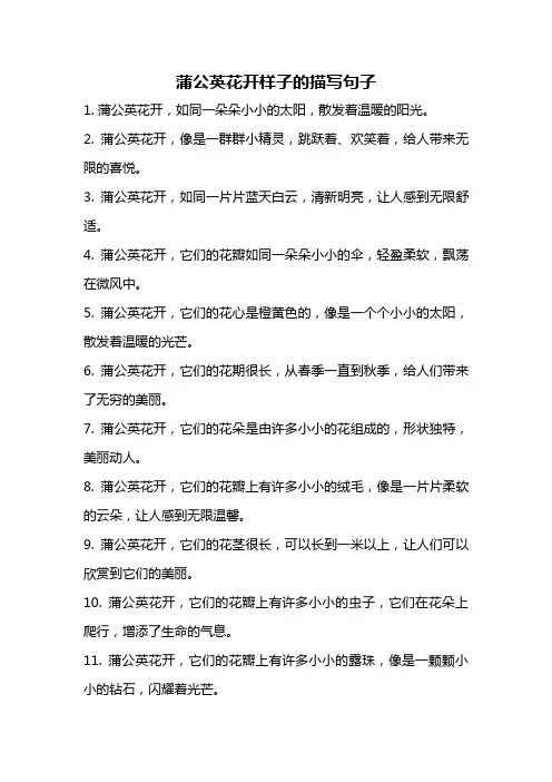 蒲公英花开样子的描写句子
