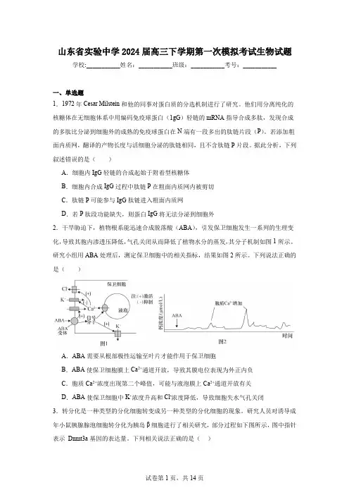 山东省实验中学2024届高三下学期第一次模拟考试生物试题