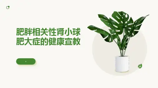 肥胖相关性肾小球肥大症的健康宣教