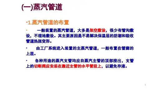 蒸汽管道布置(课堂PPT)