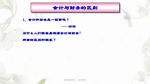 经济效益审计1基本理论ppt课件