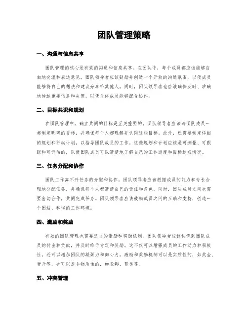 团队管理策略