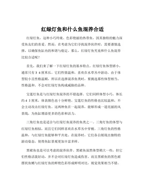 红绿灯鱼和什么鱼混养合适