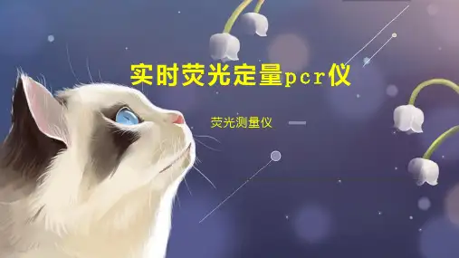 实时荧光定量pcr仪