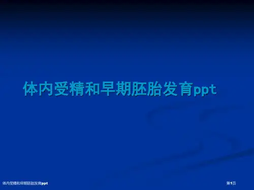 体内受精和早期胚胎发育ppt