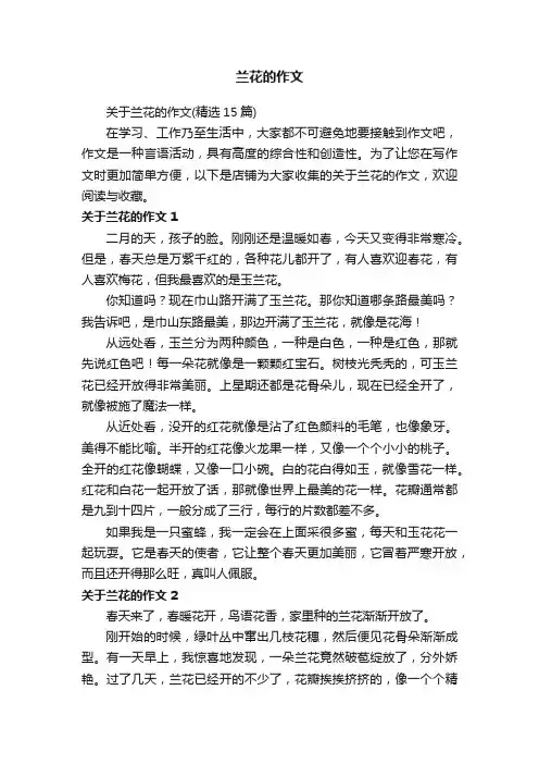 兰花的作文