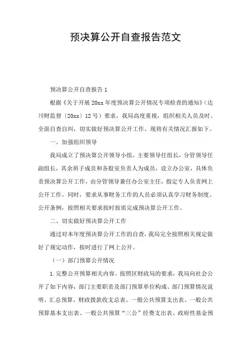 预决算公开自查报告范文