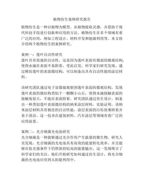植物仿生案例研究报告