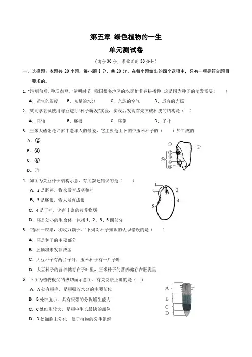 第五章 绿色植物的一生【单元测试卷】(原卷版)