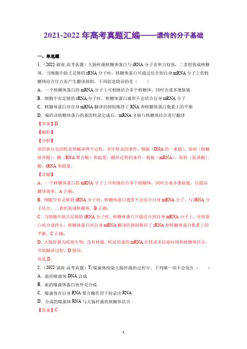 2021-2022年高考真题汇编——遗传的分子基础