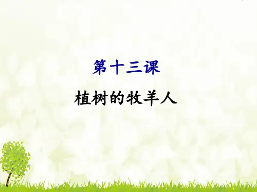 人教部编版语文七年级上册第四单元第13课《植树的牧羊人》课件(共25张PPT)