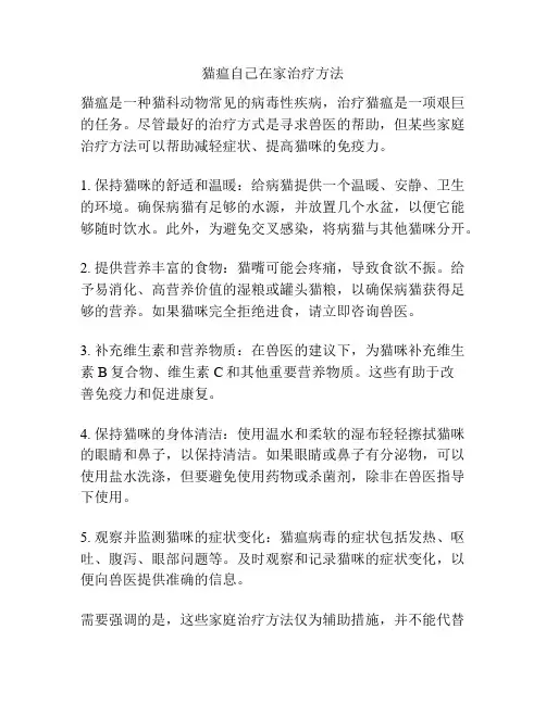 猫瘟自己在家治疗方法