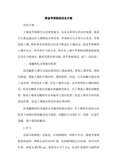 黄金苹果园的改良方案