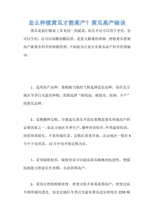 怎么种植黄瓜才能高产？黄瓜高产秘诀