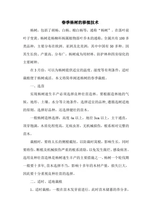 春季杨树的移植技术