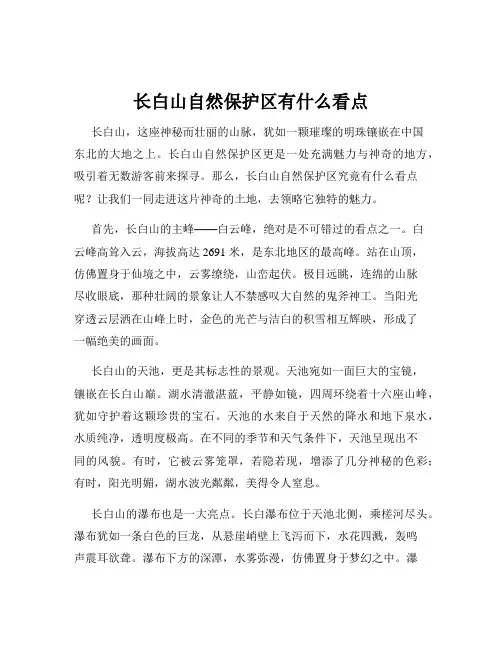 长白山自然保护区有什么看点