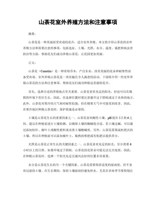山茶花室外养殖方法和注意事项