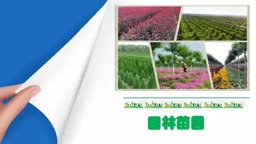 《园林苗圃(第4版)》教学课件15