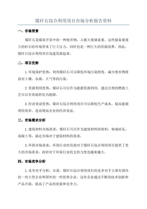 煤矸石综合利用项目市场分析报告资料