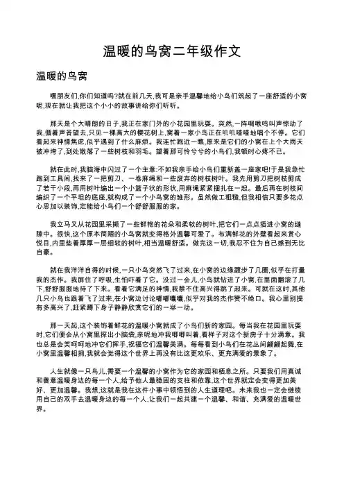 温暖的鸟窝二年级作文