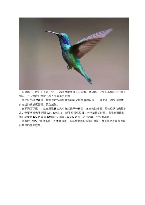 感光度iso调多少合适