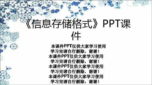 《信息存储格式》PPT课件