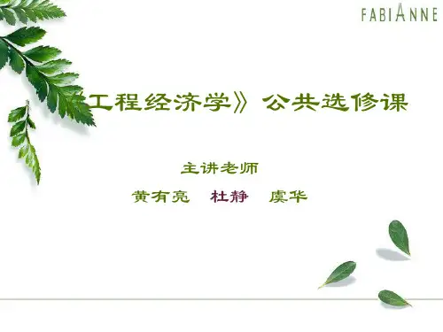第五讲 可行性研究与财务评价
