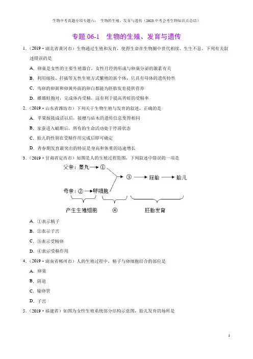 生物中考真题分项专题六： 生物的生殖、发育与遗传(2023中考会考生物知识点总结)