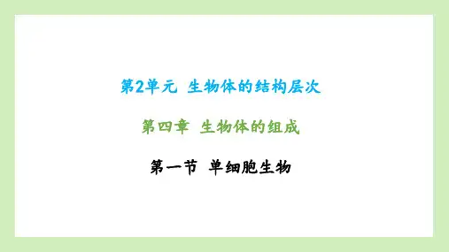 第一节单细胞生物课件2023--2024学年苏教版生物七年级上册