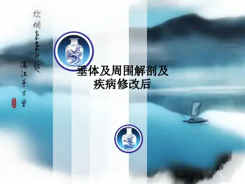 垂体及周围解剖及疾病修改后
