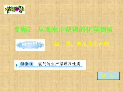 氯气的生产原理及性质-PPT课件