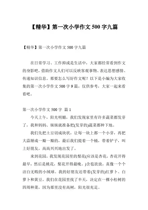 【精华】第一次小学作文500字九篇