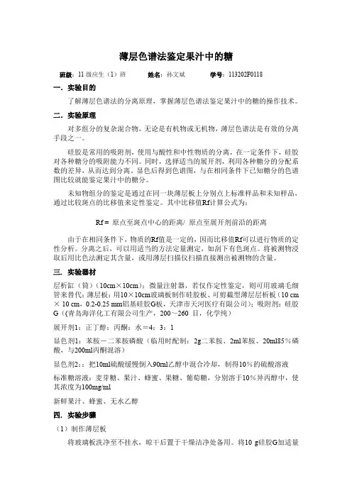 薄层色谱法鉴定果汁中的糖孙文斌F