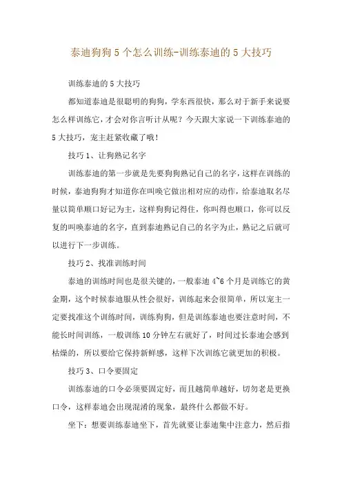 泰迪狗狗5个怎么训练-训练泰迪的5大技巧