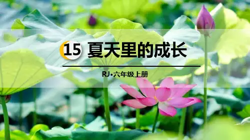 部编人教版语文六年级上册《夏天里的成长》PPT优秀课件