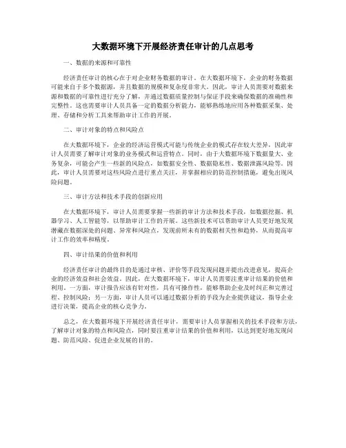 大数据环境下开展经济责任审计的几点思考
