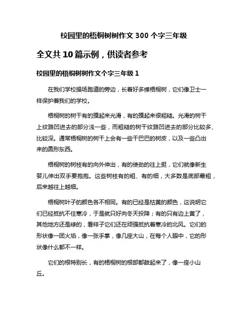 校园里的梧桐树树作文300个字三年级