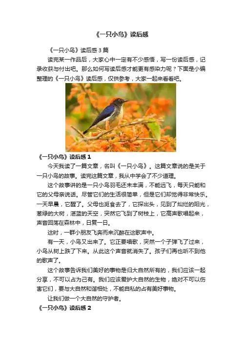 《一只小鸟》读后感