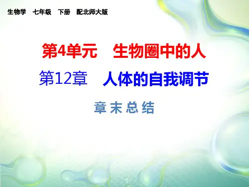 第12章  章末复习总结-2020春北师大版七年级下册生物课件(共40张PPT)