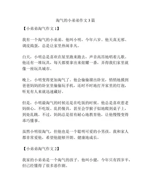淘气的小弟弟作文3篇