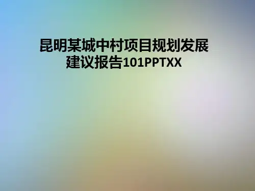 昆明某城中村项目规划发展建议报告101PPTXX