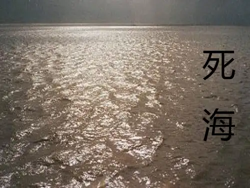 秋沪教版语文四上《我躺在波浪上读书》课件