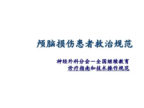 颅脑外伤指南 ppt课件