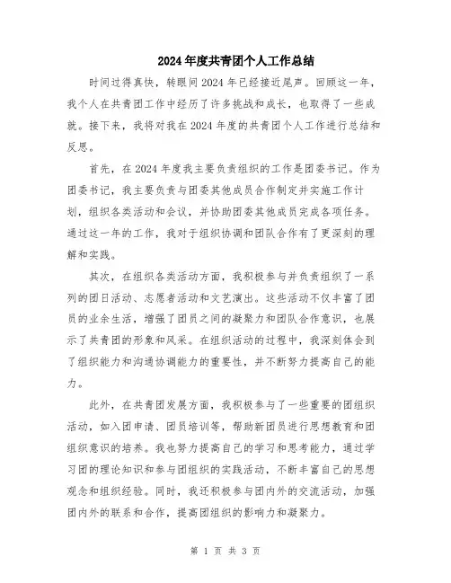 2024年度共青团个人工作总结