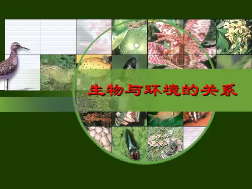 《生物与环境的关系》PPT精选教学优质课件