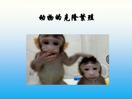 高中生物PPT课件《动物的克隆》第三课时 (1)