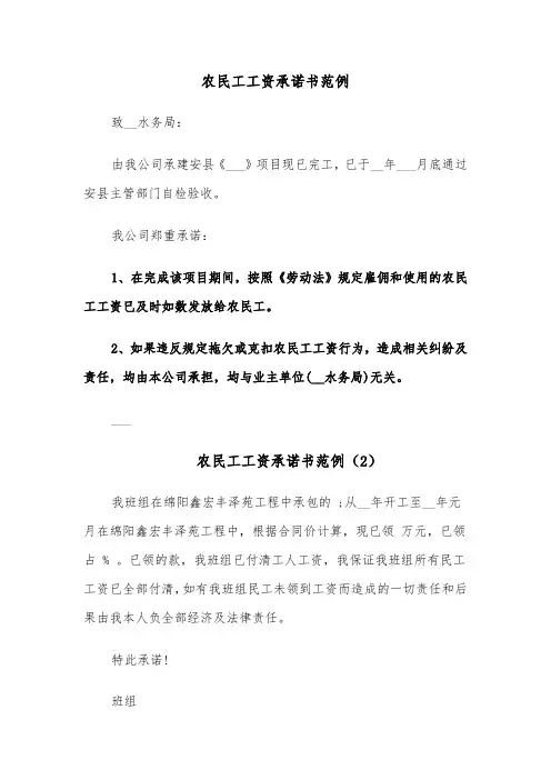 农民工工资承诺书范例（8篇）